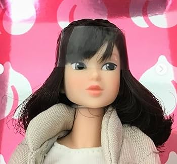 momoko ドール Amazon.com: momoko doll Winter Sketch Full Set Momoko Doll