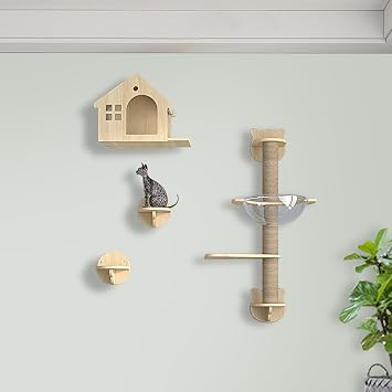 Cat Shelves for Wall, Shelves Fit Cats Up to 30Lbs, Wall Climbing Cat Toy, Furniture for Indoor Kitty Climb, Play and Nap3pcs