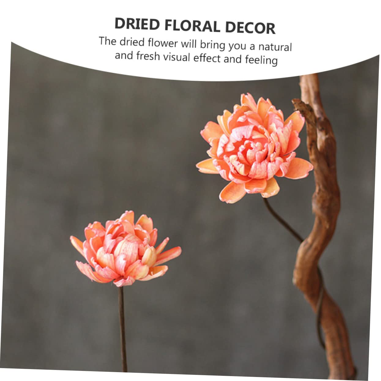 DECHOUS 6pièces Bouquet De Fleurs Séchées Naturelles Décoratif pour Décoration Intérieur Éléments De Mariage Et Accessoires De Fête
