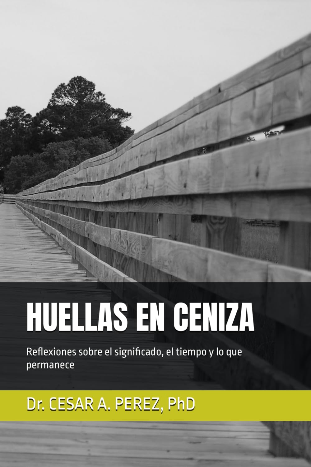 HUELLAS EN CENIZA: Reflexiones sobre el significado, el tiempo y lo que permanece (Spanish Edition)