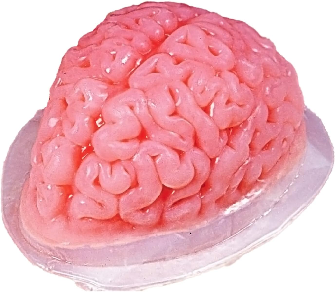 Plastic Brain Jello Mold