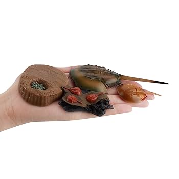 タカアシガニ フィギュア ネイチャーテクニカラー タカアシガニ フィギュア 海遊館