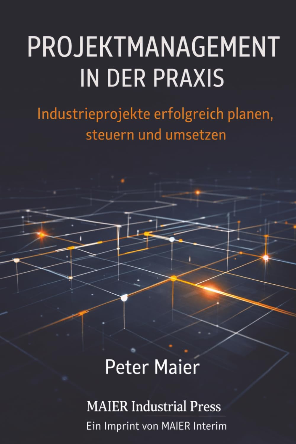 Projektmanagement in der Praxis: Industrieprojekte erfolgreich planen, steuern und umsetzen