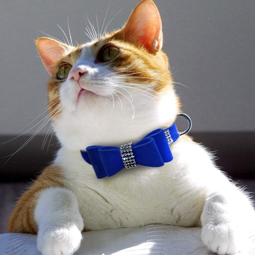 Collare per cani e gatti, con strass, in morbida pelle scamosciata