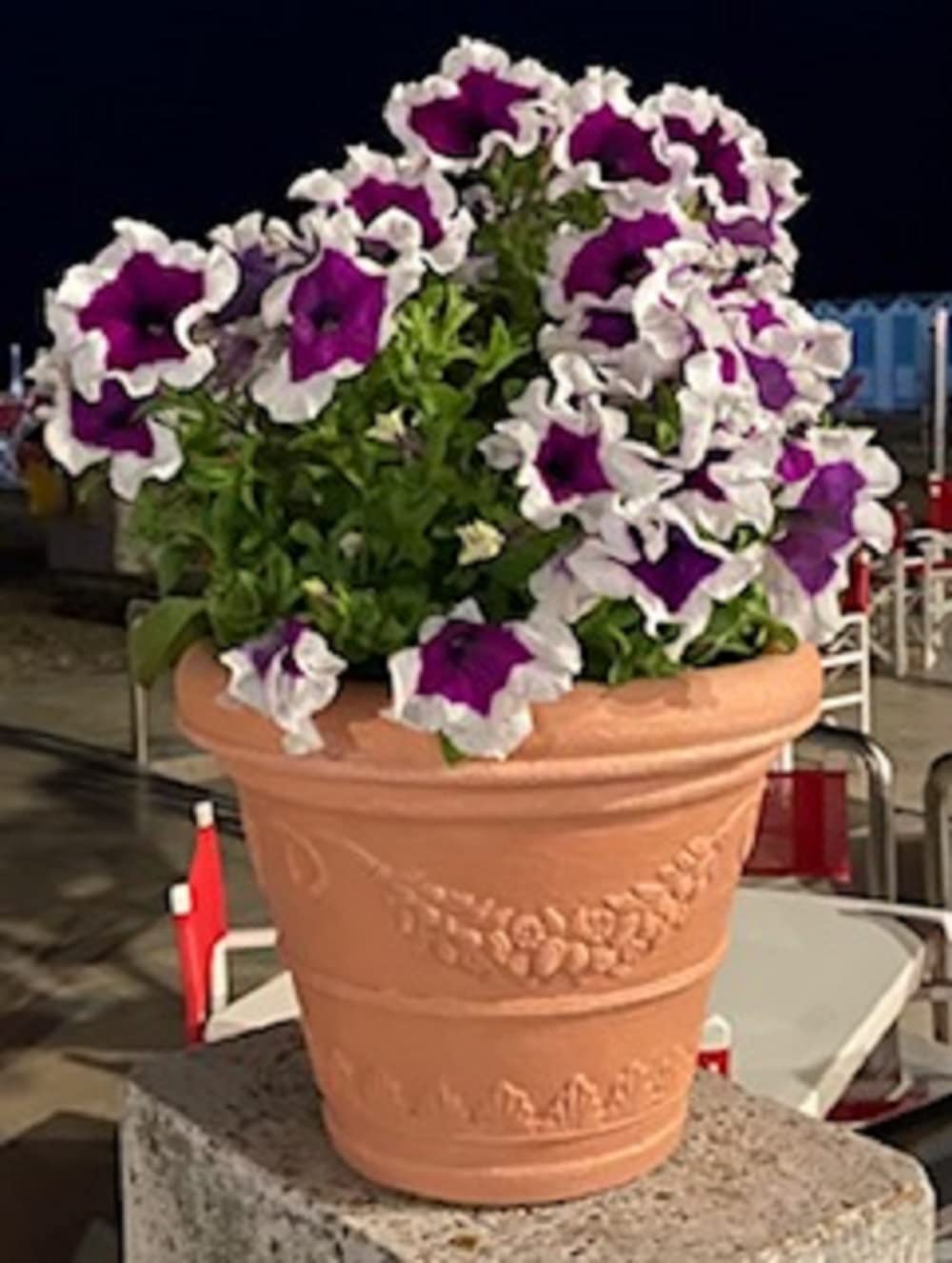 Garden Italia Vasi Vaso per piante tondo Campana con festoni ICFB Diam.80 cm alt.64 Made in Italy in resina colore impruneta - Resiste al gelo - Antiurto Leggero