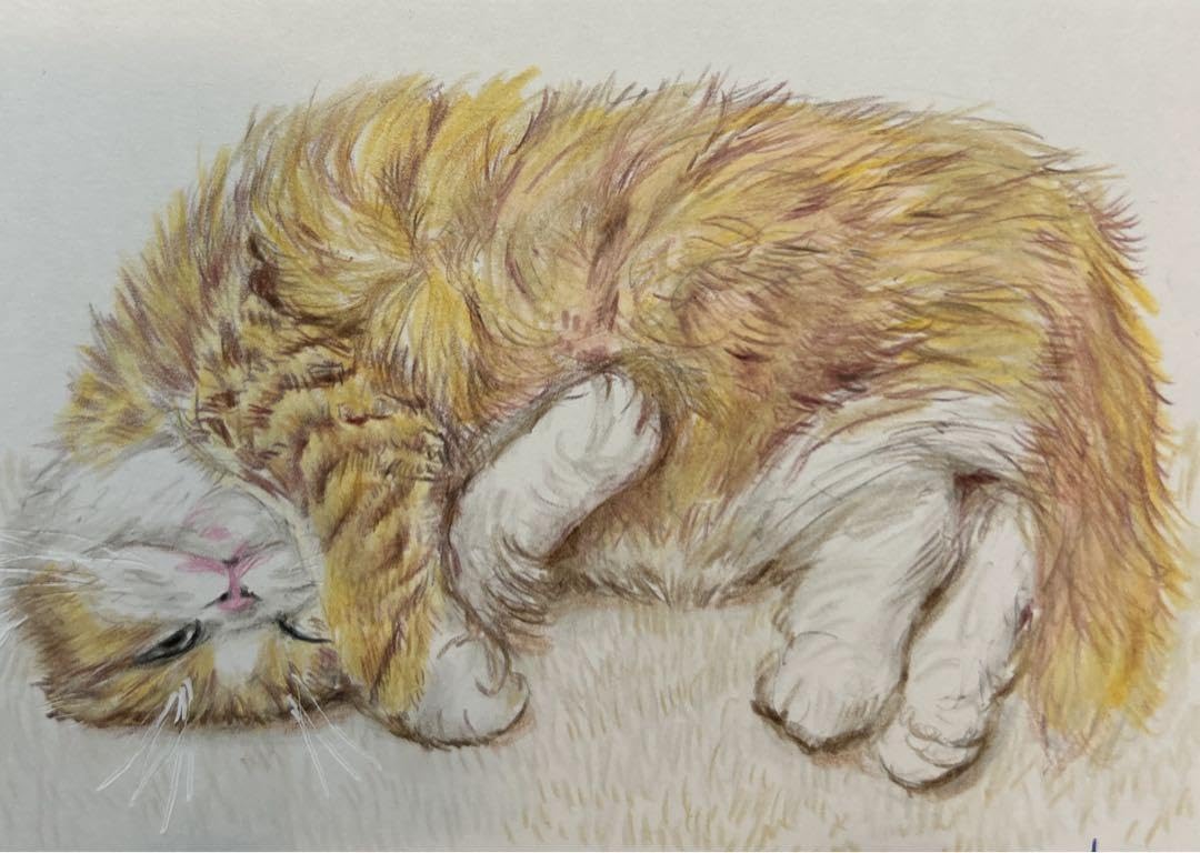 F0号◆猫◆新品【パステル＋水彩＋色鉛筆＋アクリル】◆防水丁寧梱包◆猫の絵 F0号◇猫◇新品【パステル＋水彩＋色鉛筆＋アクリル】◇防水丁寧