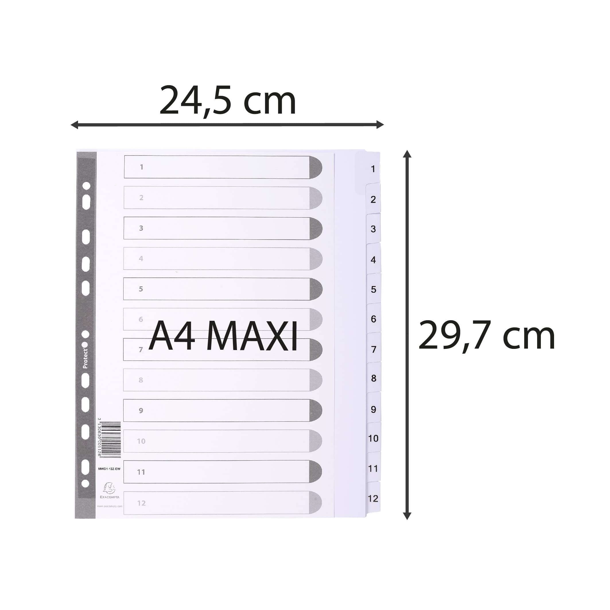 Exacompta, Ref MWD1-12Z-EW, Mylar Printed Indices, For Use With A4+ Documents, Pre-Punched - Image 2