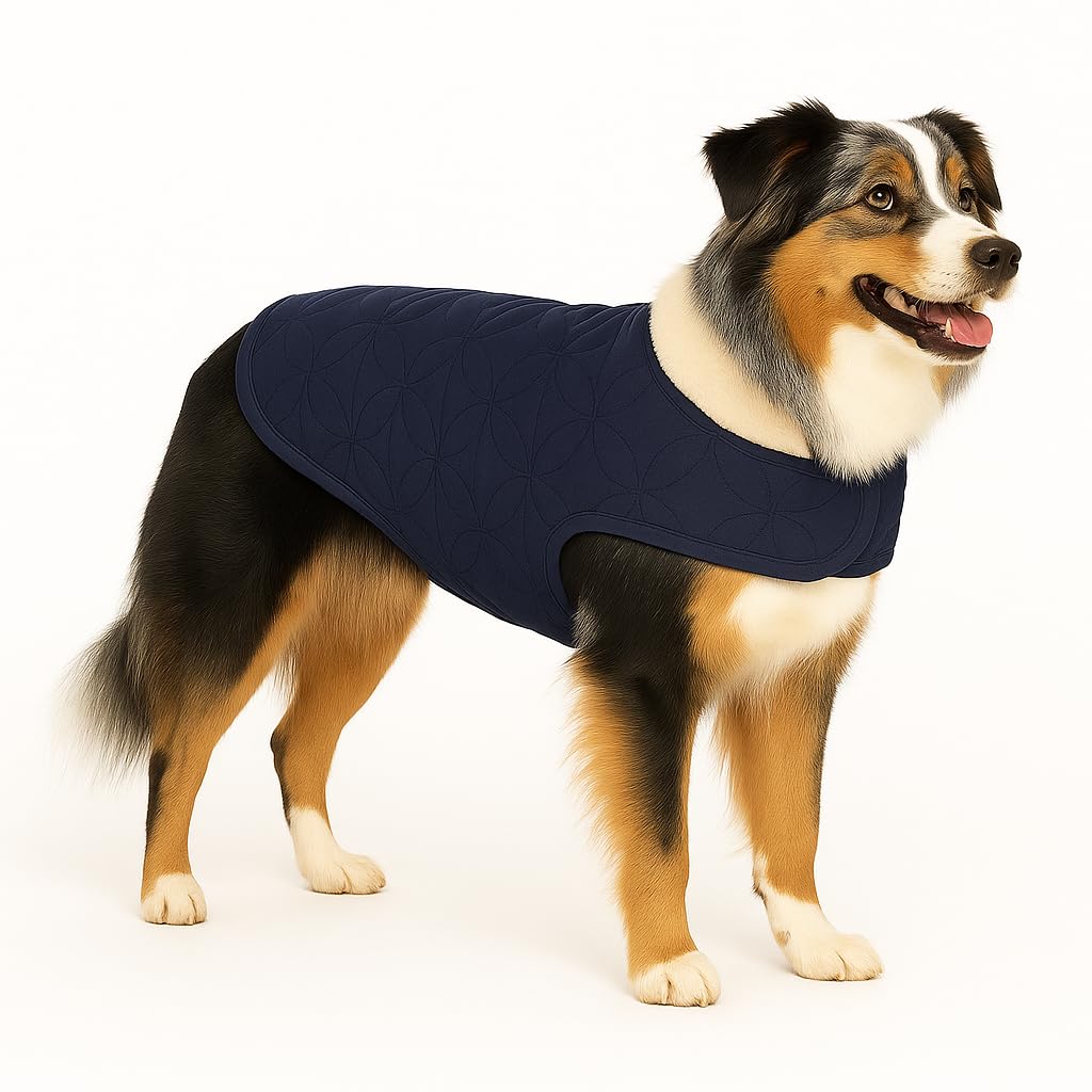 Flamingo WINTER COAT KODA DARK BLUE 55CM