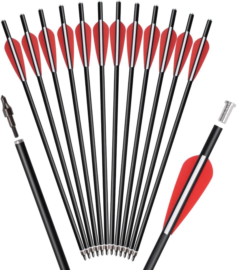 Crossbow Bolts Arrows Fiberglass 12 14 16 Inch Hunting Archery Target Arrow with Replaced 100 Grain Arrowheads Flat Nocks (Pack of 12)