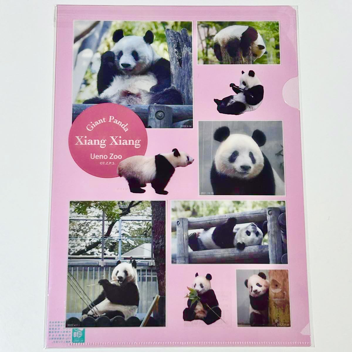 上野動物園 パンダ クリアファイル 7枚 シャオシャオ レイレイ