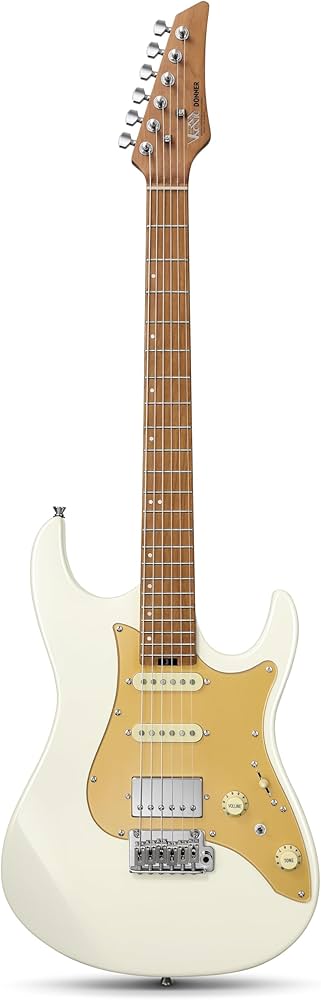 Amazon.com: Donner 39 Inch Electric Guitar, DST-550 Solid Double
