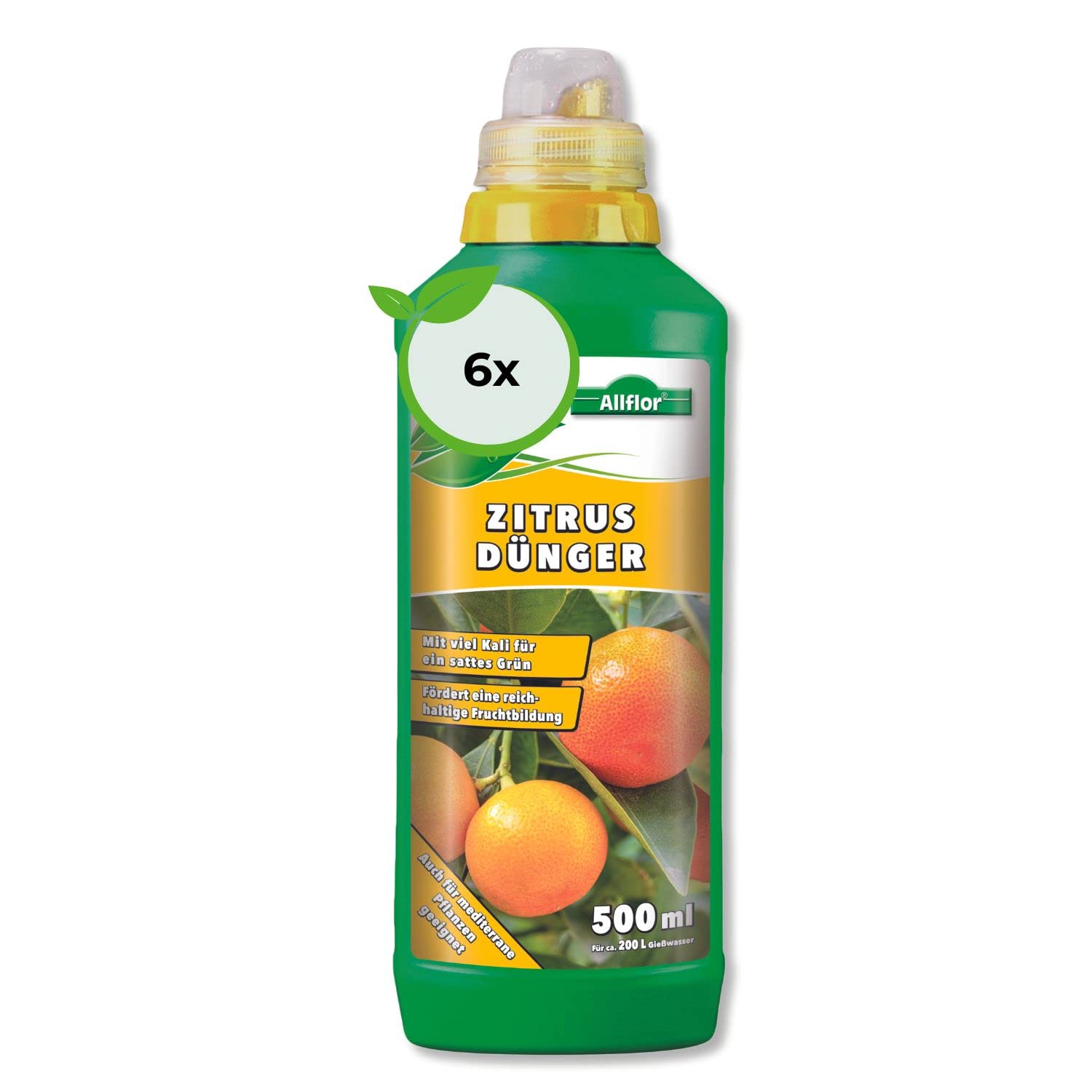 Allflor Zitrusdünger 6 x 500 ml I Langzeitdünger mit viel Kali für ein sattes Grün I Dünger fördert eine reichhaltige Fruchtbildung I Flüssigdünger auch für mediterrane Pflanzen geeignet