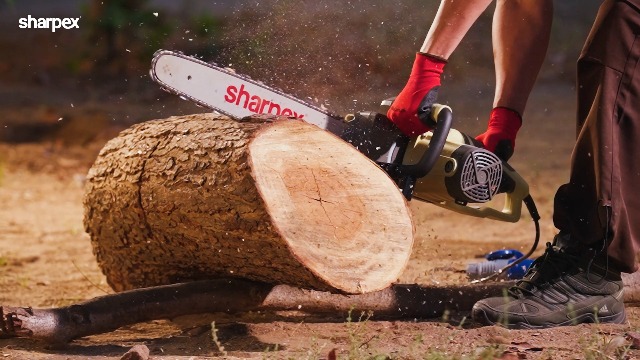 その他 shaedon sharpe auto OPTIC GOLD PSA10 Amazon.in: sharpex: Chain Saw