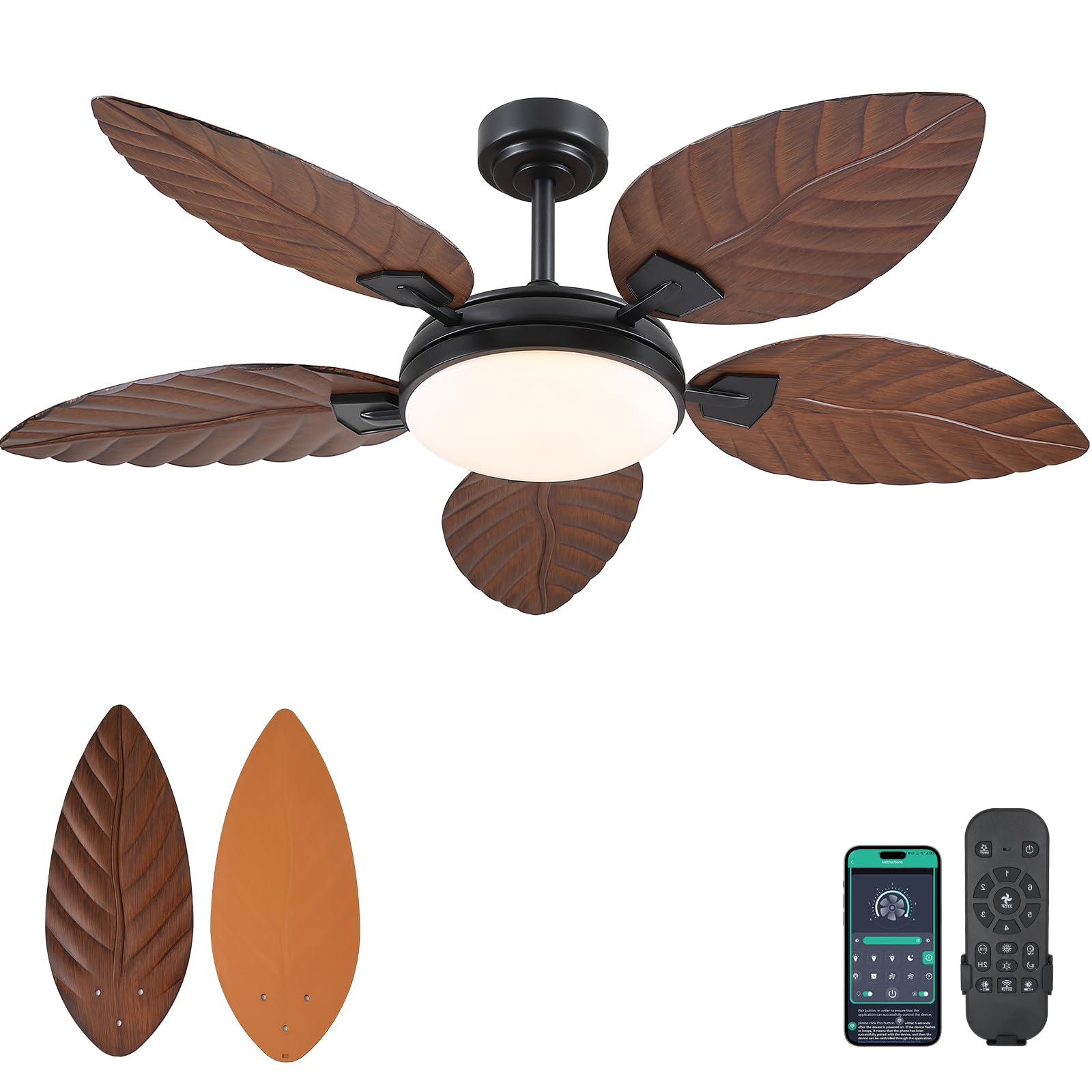 PHORUS Ceiling Fan