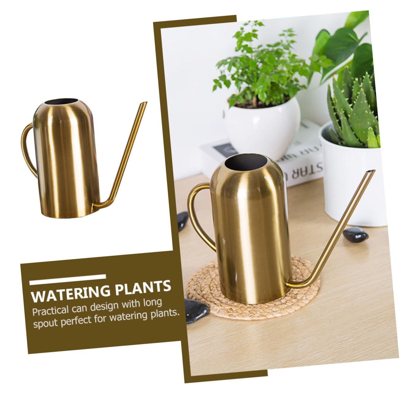 ARTIBETTER Regadera de Acero Inoxidable con Dorado Capacidad para Riego de Suculentas y Plantas de Interior y Exterior Diseño Resistente y Práctico