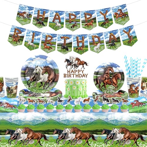 Decorazione per feste di compleanno a cavallo, accessori per feste di cavallo, tovaglioli, tovaglioli, tovaglia Happy Birthday, striscione torta per cowboy western cowboy boys compleanno