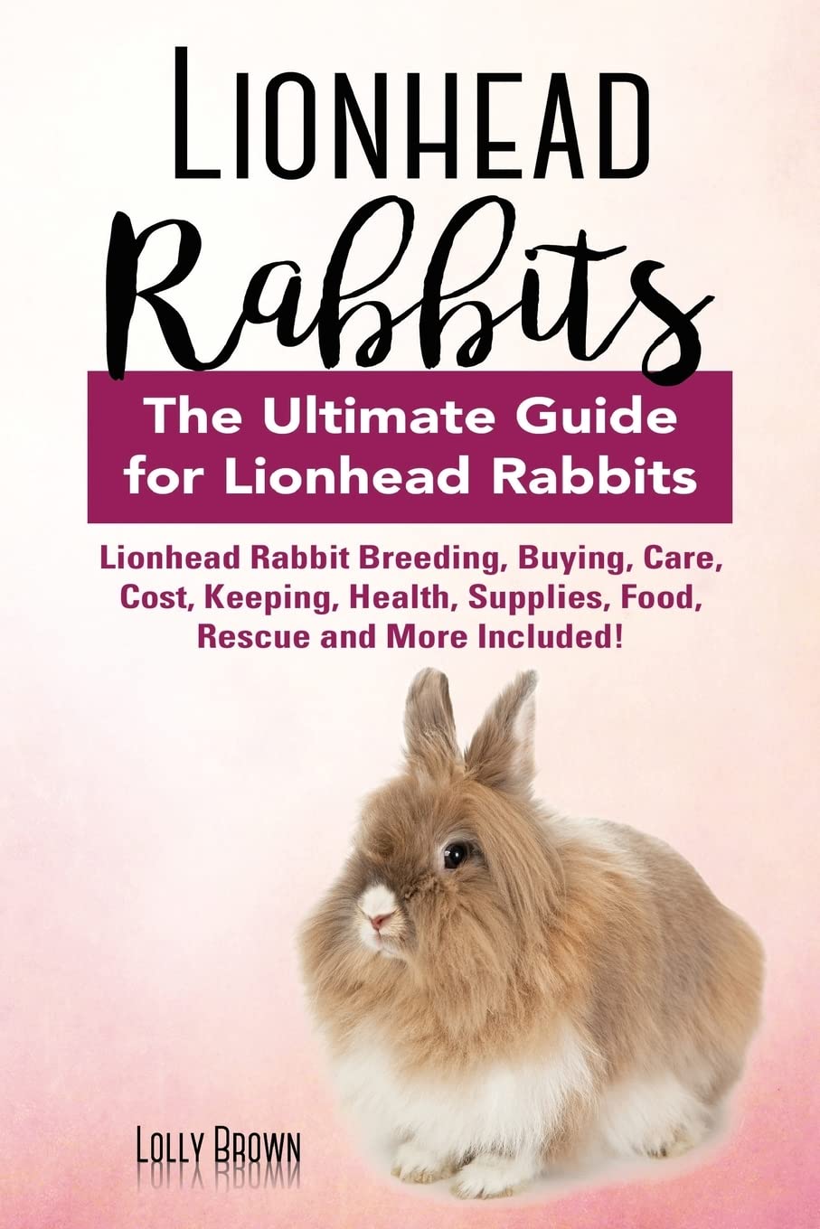 Lionhead Rabbits: Lionhead Rabbit Breeding, Buying, Care, Cost, Keeping ...