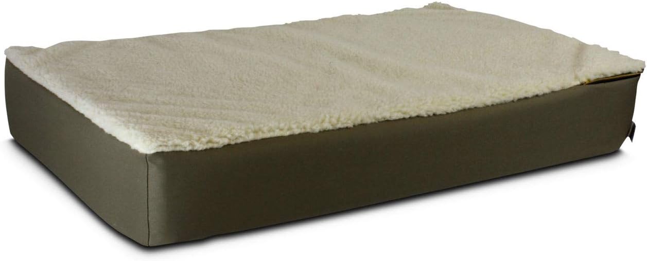 Amazon snoozer Clearance