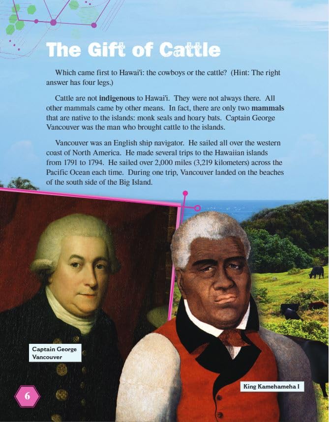 Art and Culture: Hawaiian Paniolo: Expressions (Mathematics in the Real World) - Image 6