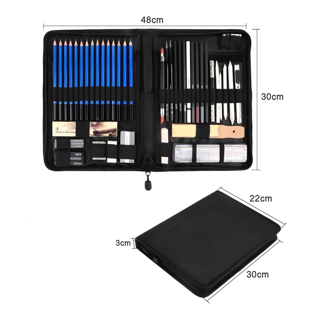 Ensemble de 60 pinceaux Professionnels pour Dessin au Fusain, Crayon à Dessin, Gomme, Crayon à Dessin