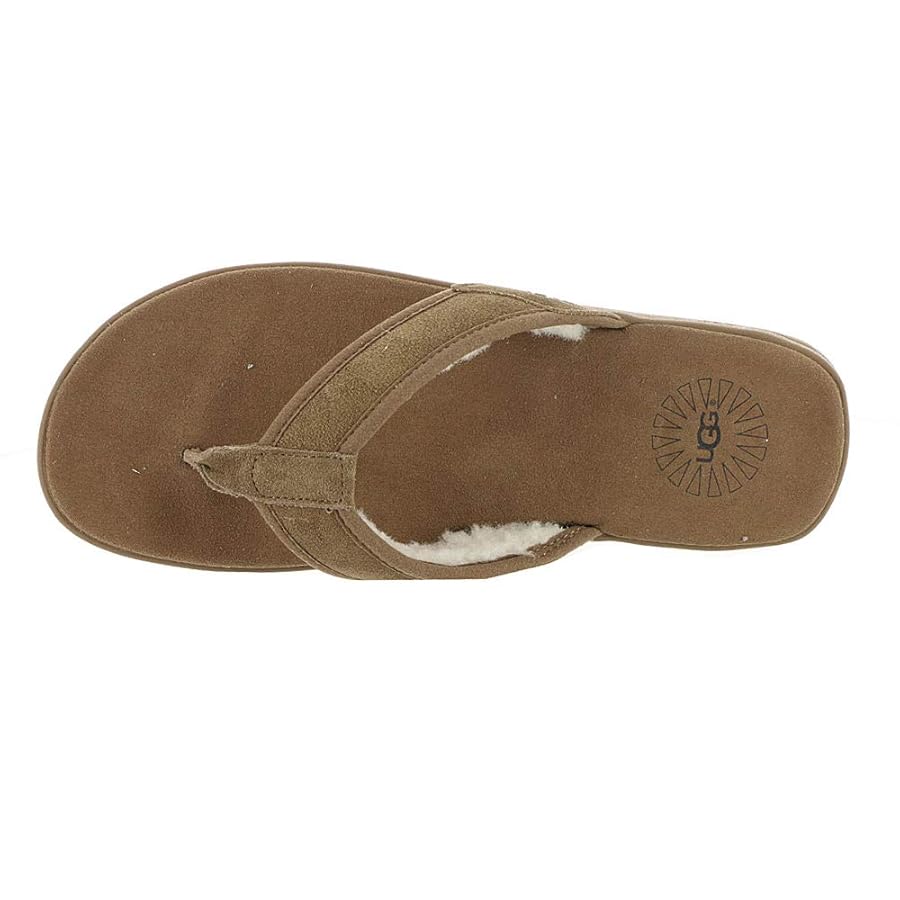 Amazon | UGG メンズ シーサイド フリップ タスマニア サンダル