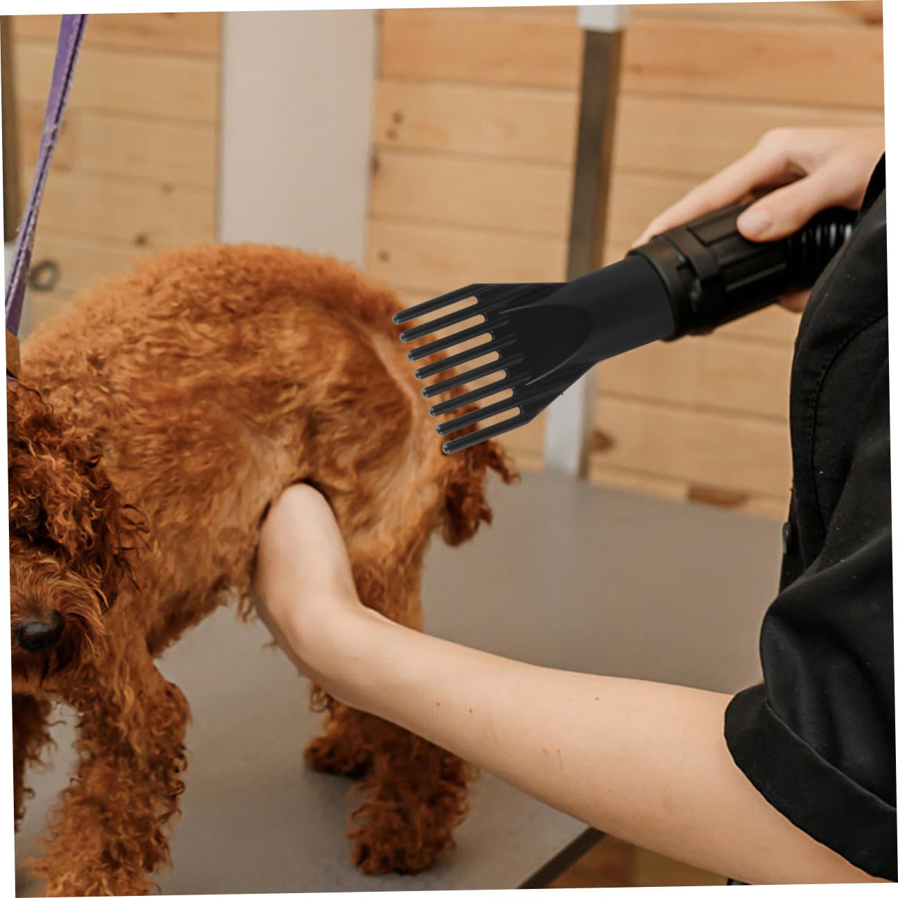Replacement Comb Nozzle for Hair Dryer Abs Material Creative Dryer Nozzle for Pet Grooming Lightweight Travel Accessory