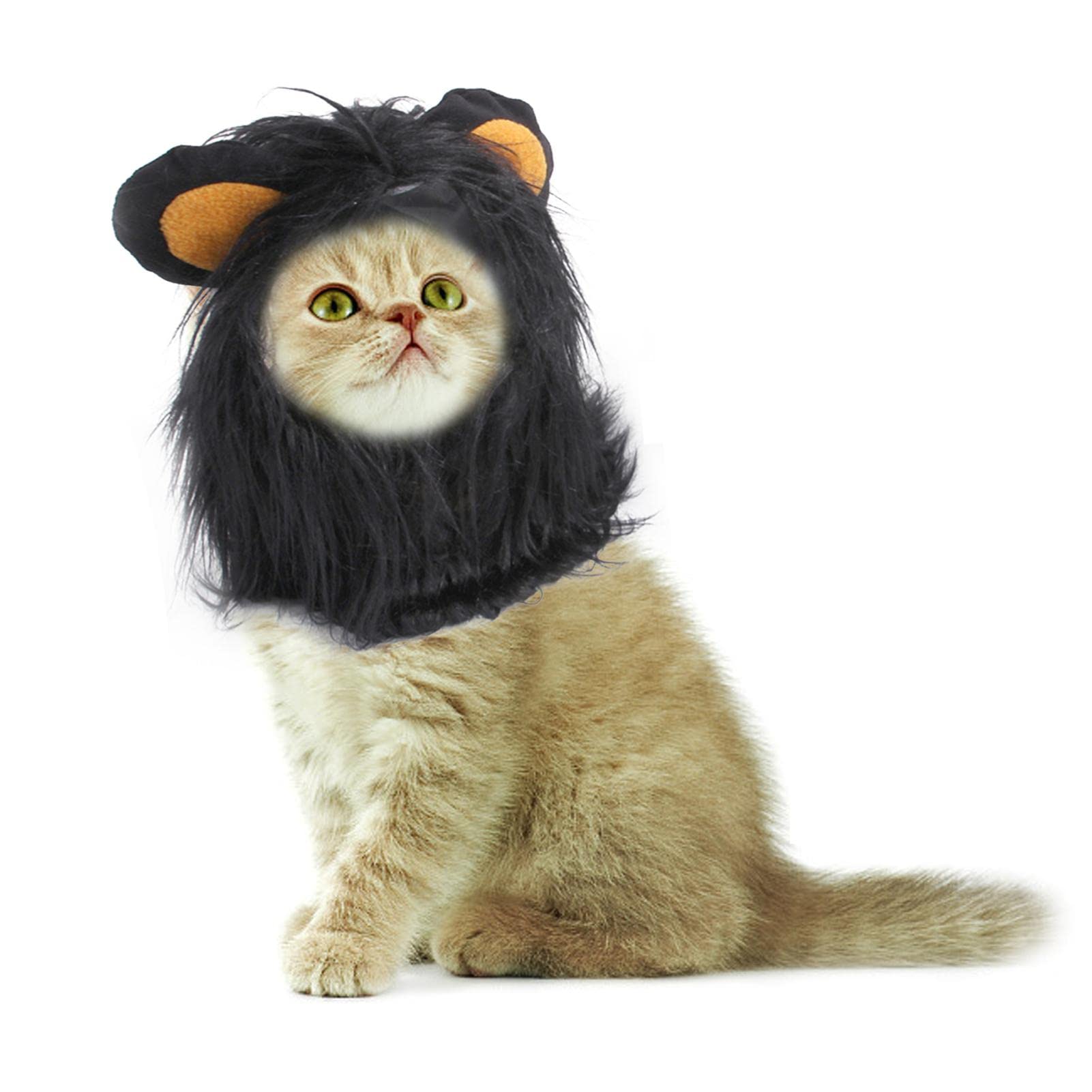 Sombrero para mascotas de Halloween | Disfraz de melena de león para gatos y perros, disfraz de melena de león para perros y gatos