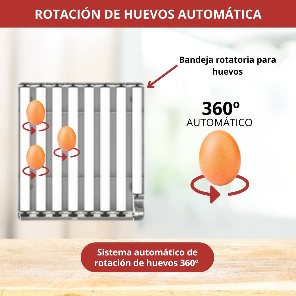 Arcanix Incubadora de Huevos Automática 30 Huevos Gallina 75 Codorniz - Incubadoras con Volteo Automatico Control de Temperatura y Humedad, Termómetro Higrómetro Chocadeira Ovos Automatica