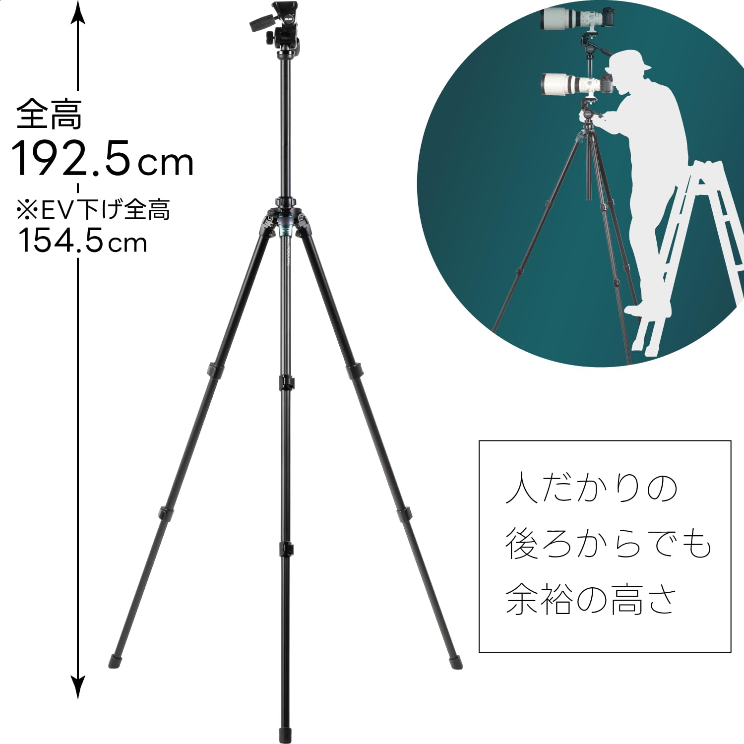 大型三脚 SLIK PRO 700DXIII＆自由雲台【フルサイズ一眼・望遠に】 Amazon | 【Amazon.co.jp限定】 スリック (SLIK) 大型アルミ三脚 プロ