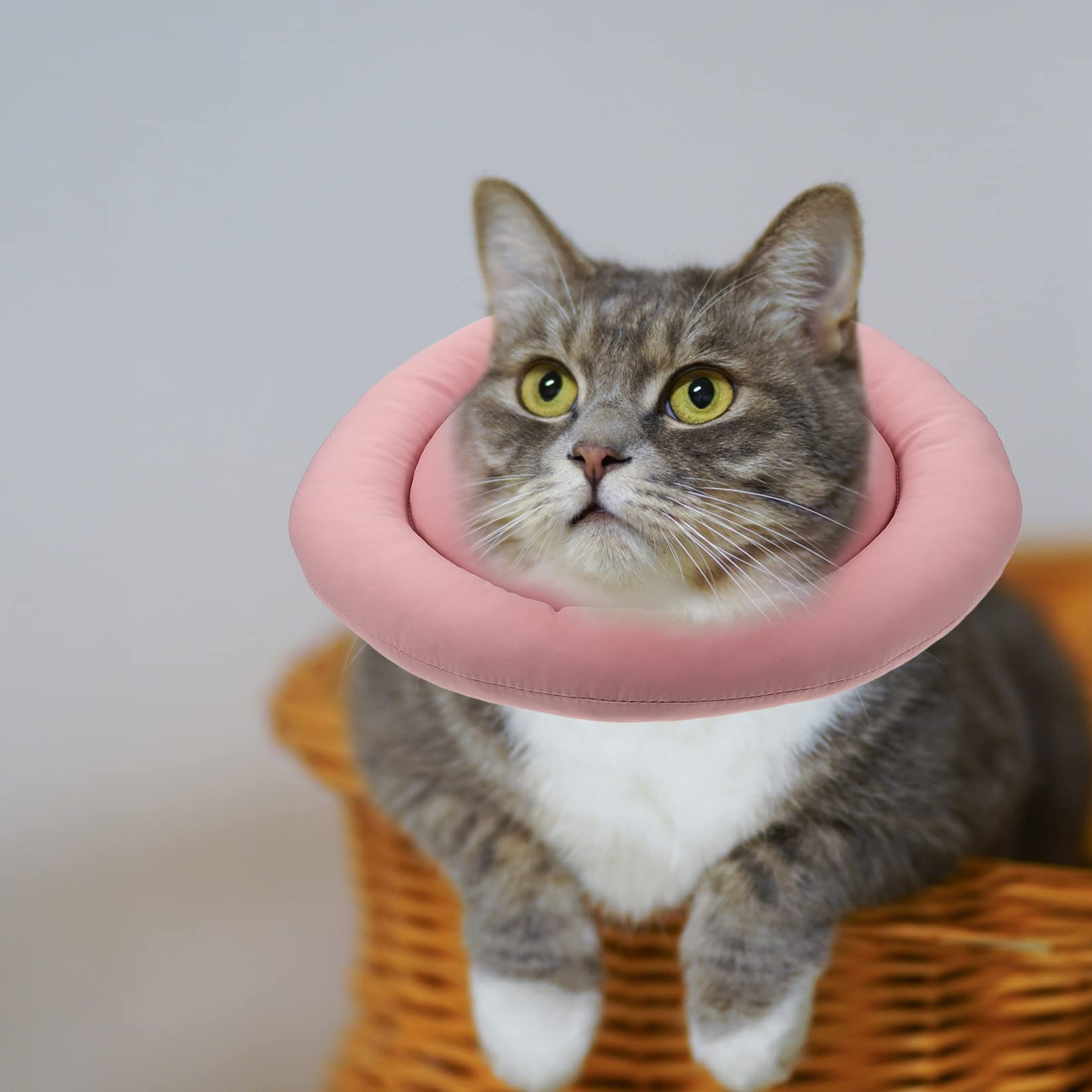 Mipcase 3pezzi Collare Protettivo Per Gatti Collare Di Per Animali Domestici Design Confortevole e Facile Da Indossare Previene Licking Ferite Per Post-operatori