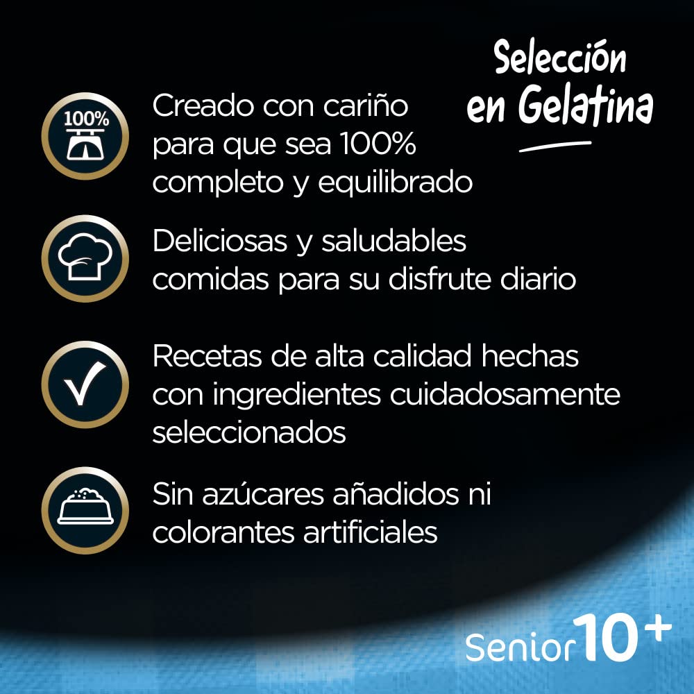 Cesar 10+ Senior - Selezione in Gelatina 13 x (4 x 100g)