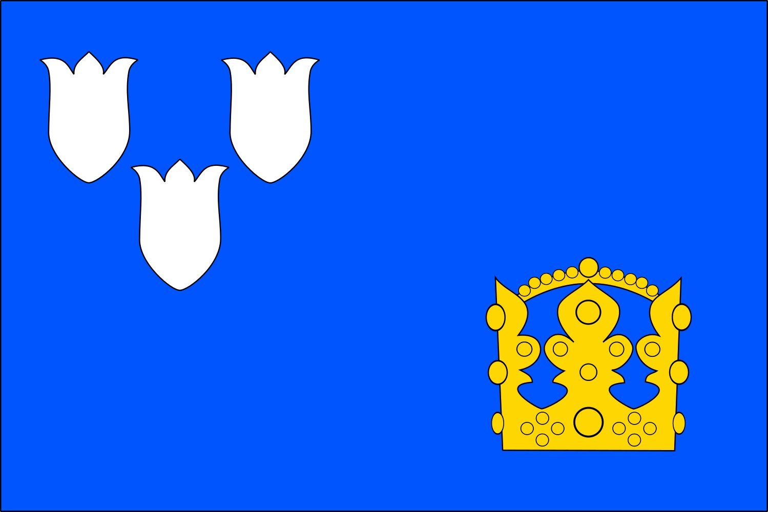 Drapeau Ratiboř grand modèle aux finitions premium pour pavillon officiel du district de Vsetín