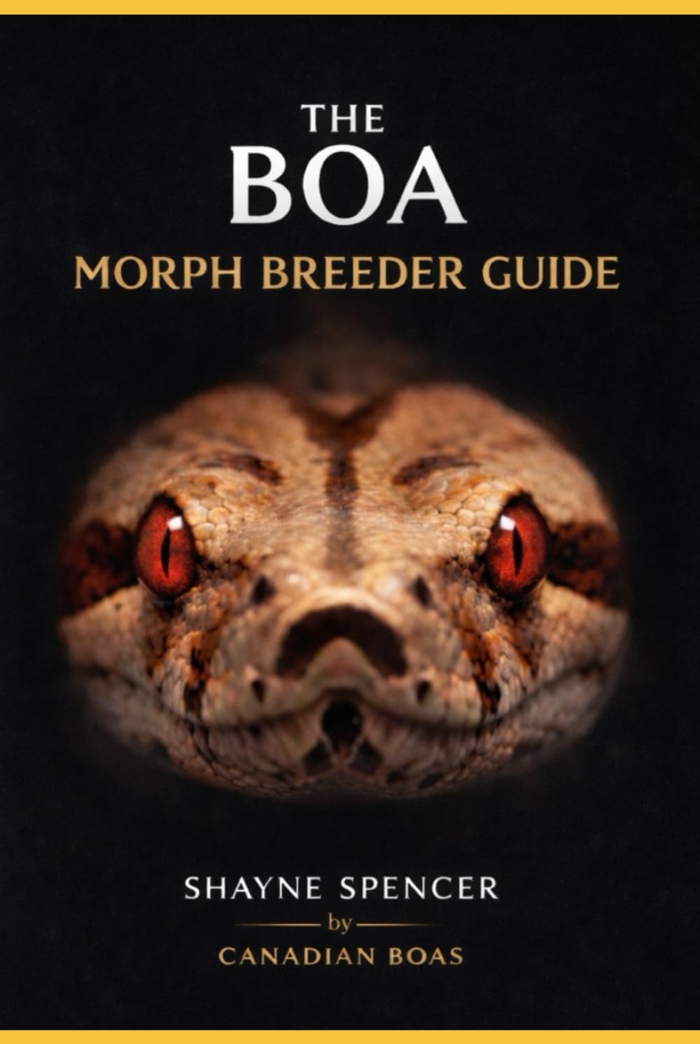 The Boa Morph & Breeder Guide: Top 111 Morphs
