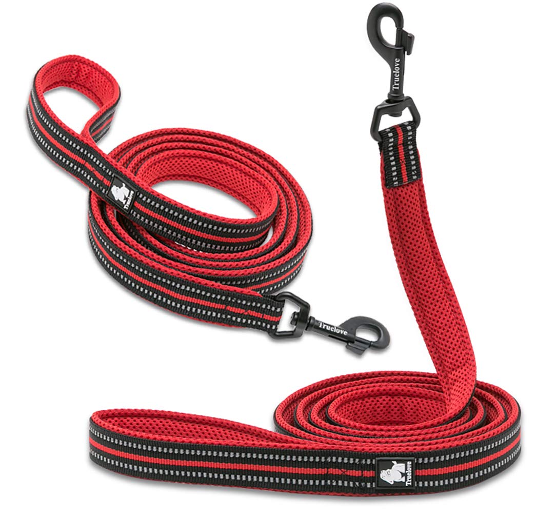 WINHYEPET True Love Chien Laisse Nylon Réfléchissant Poignée Confortable Lead Puppy Training Marche Corde Contrôle Facile Applicable à Toutes Les Races Longueur 110 cm TLL2111(Rouge,M)