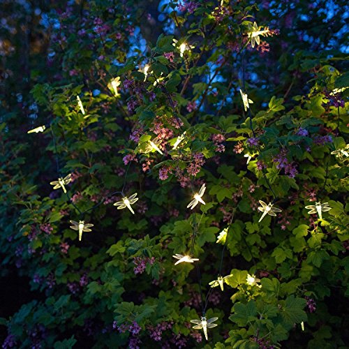 Dragonfly Solar String Lights Outdoor, DINOWIN 20ft 30 LED Waterproof Fairy Lights Decorative Lighting for Indoor/Outdoor Home Garden Lawn Fence Patio Party and Holiday Decorations (Warm White) - Image 3