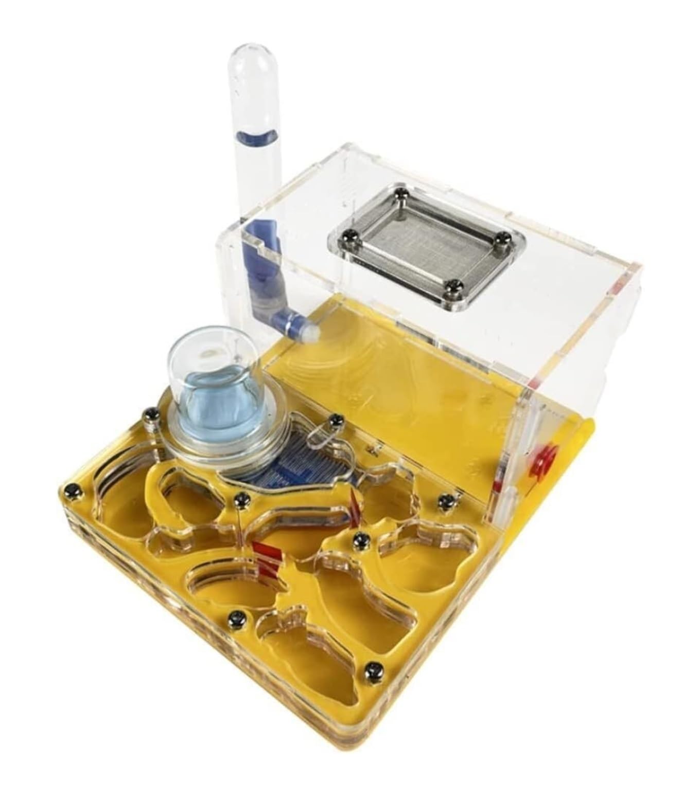 Formicaio Formicaio Acrilico Castello Allevamento Idratante Nido Osservazione Scientifica Fai-da-Te Fattoria Kit Scientifico Formiche Nido(Yellow)