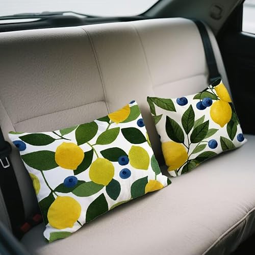 NbVJo[ 60x90 cm 2 Zbg ` xxbg Jo[ t \t@[ NbV  ʃfUC t  H ~   zc BWbp[ I[V[Y s[P[X \t@  蕨 w-676