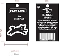 Vista 32 de FCFD Black Cat Enamel Pins Best Cat Brooch and Lapel pins for men and women Black Cat Pins