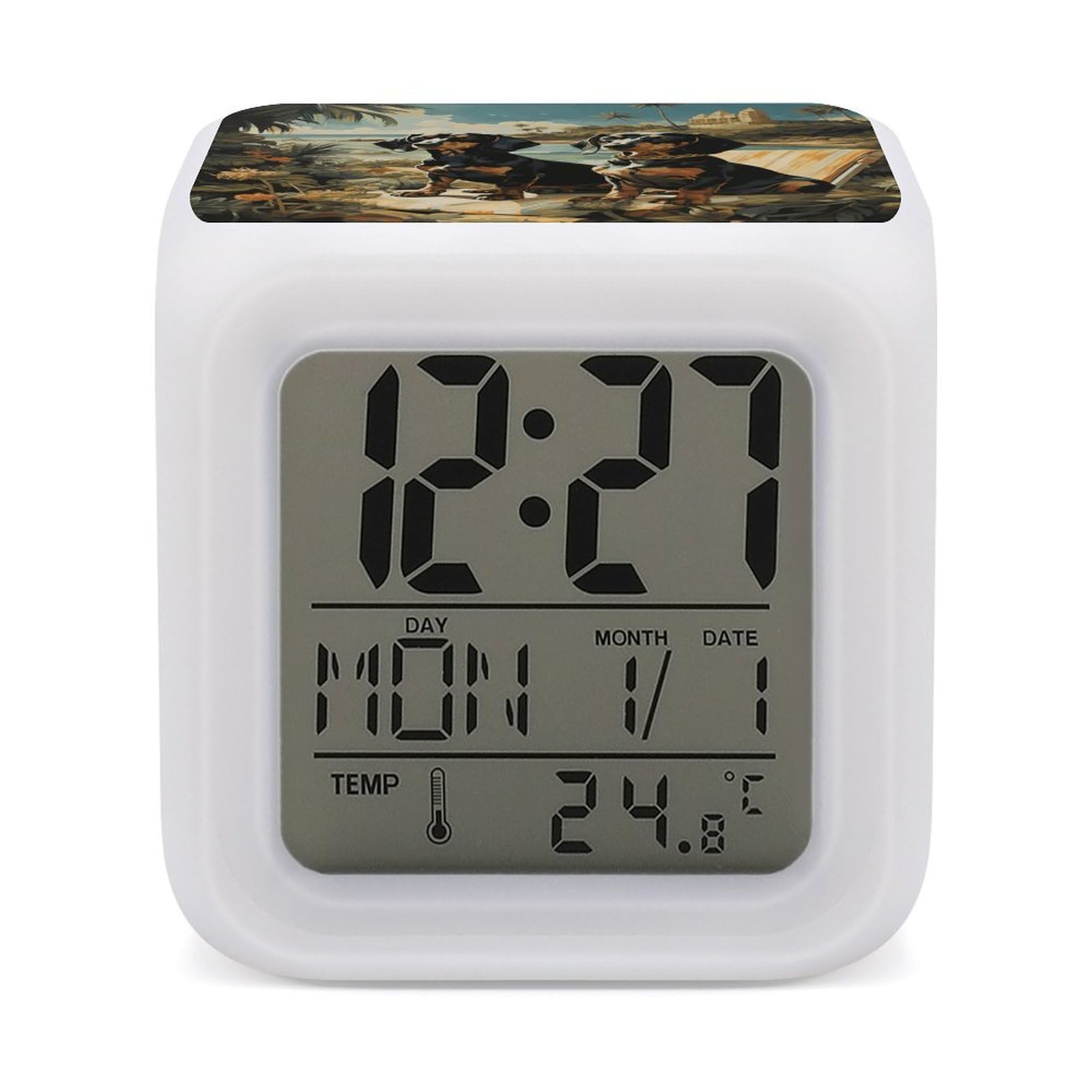 Reloj pequeño Bento de perro salchicha el regalo original con temporizador y luz nocturna