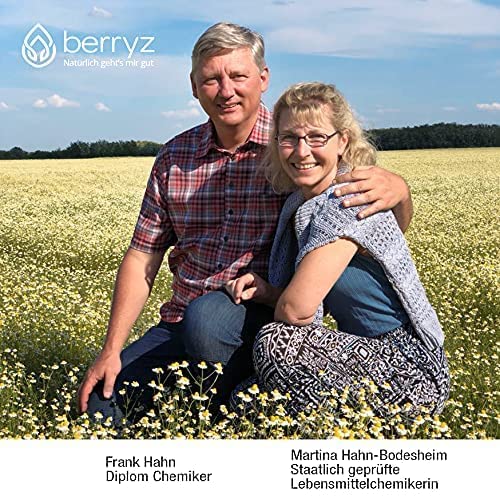 Katzenminze XXXL 100% Lebensmittelqualität aus französischem Anbau ohne Düngung | Katzenminzetee | Nepeta cataria ideal auch für Katzenspielzeug Catnip