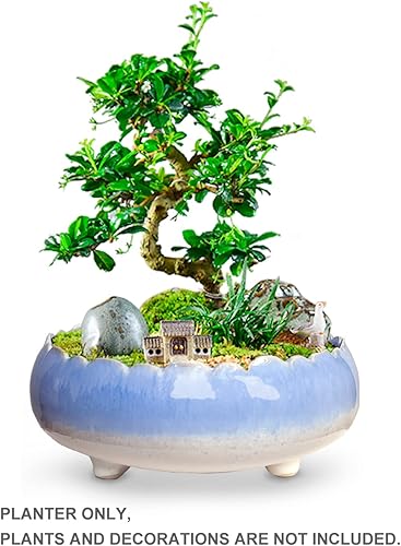 Miniatura 3 de Dahlia Macetero de cerámica esmaltada de goteo grande, poco profundoancho de 8.3 pulgadas, maceta para suculentas, color azul