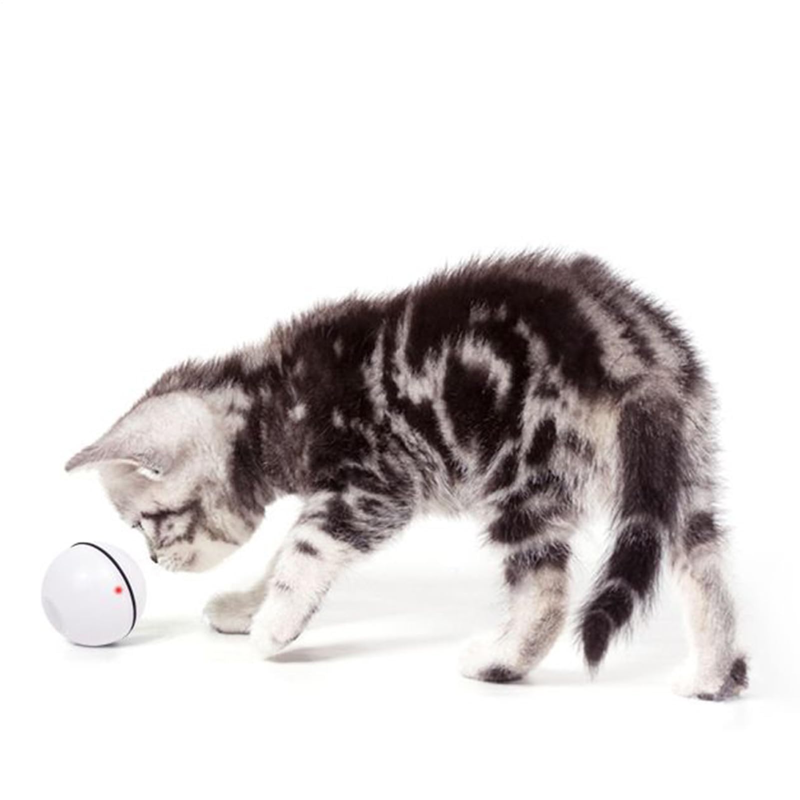 Juguetes para Gatos， Juguete Estimulante Mental for Gatos, Gatitos de Interior, Perros, Ejercicio, Caza, persecución, Alivio del aburrimiento
