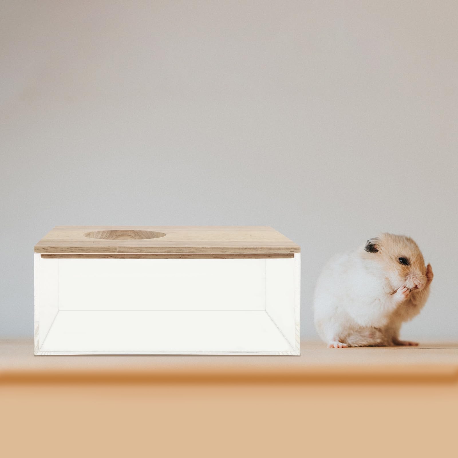 Dekorative Chinchilla Badewanne Multifunktionales Sandbad Transparente Box