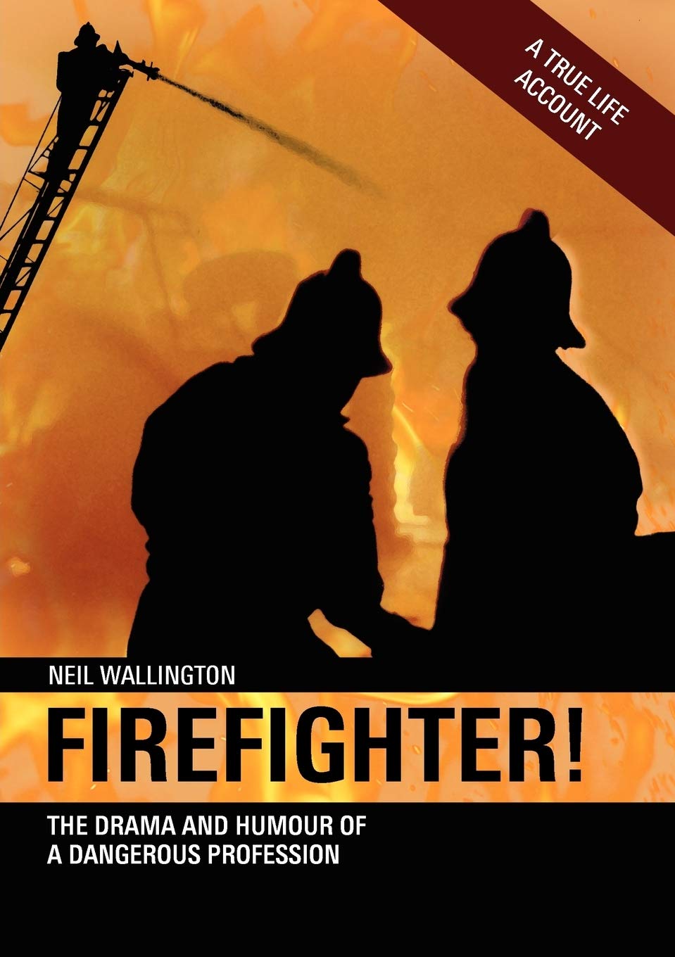 Firefighter!: The Drama and Humour of a Dangerous Profession Paperback – 26 Mar. 2010