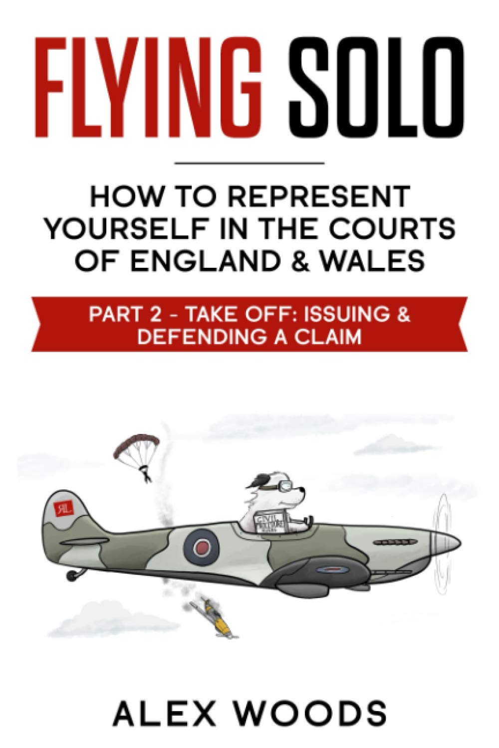 Flying Solo: Representing Yourself in the County Courts of England & Wales: PART 2 - Take Off: Issuing & Defending a Claim