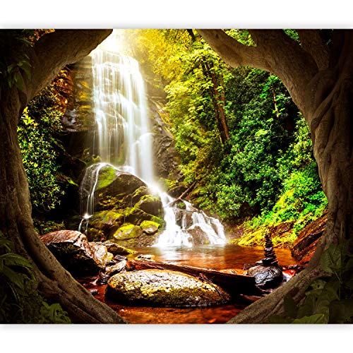 murando Papier peint intissé Cascade 350x256 cm Décoration Murale XXL Poster Tableaux Muraux Tapisserie Photo Trompe l'oeil Paysage Nature Foret c-C-0450-a-a