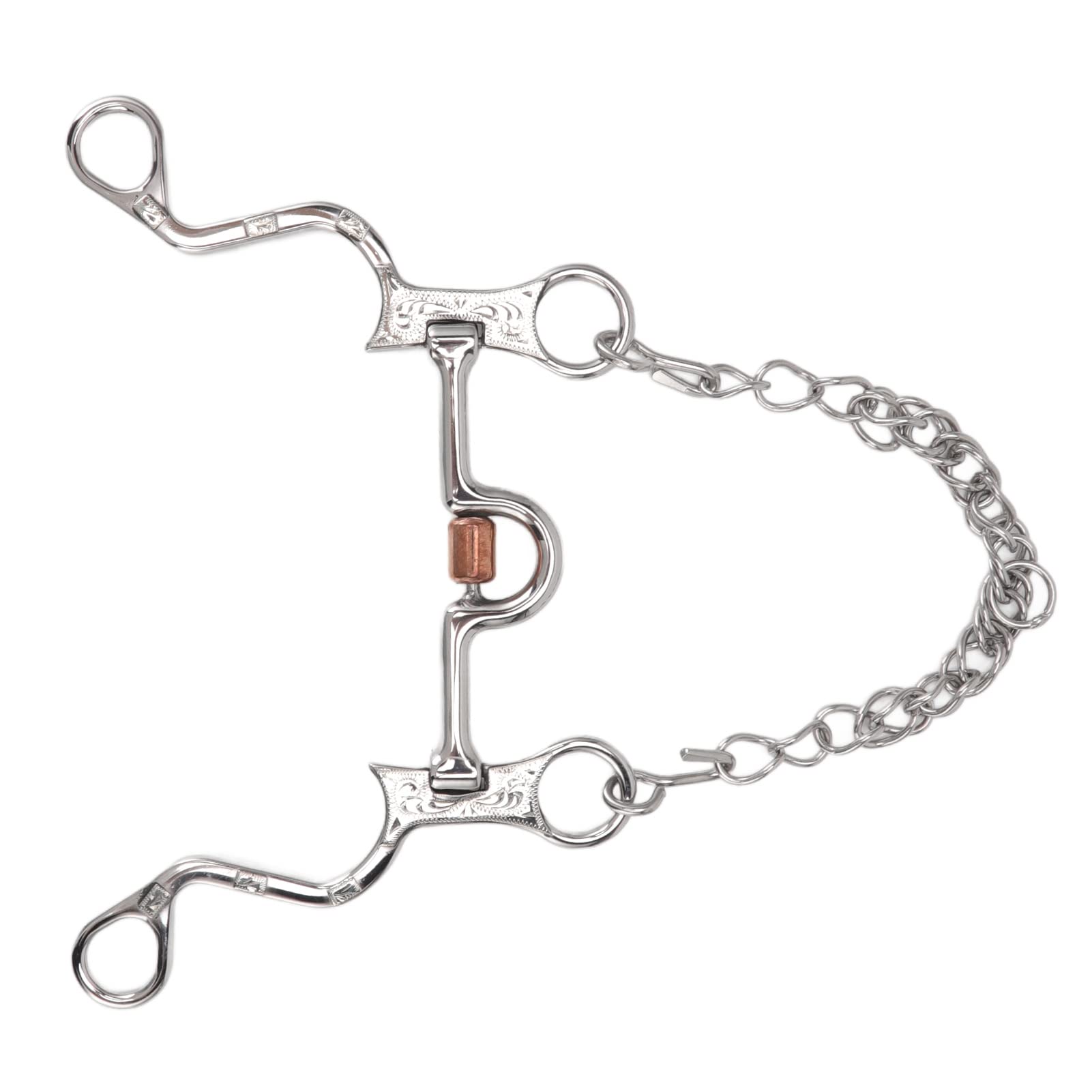 Filete de Boca de Caballo de 120 mm con Cadena, Broca de Caballo de Acero Inoxidable para Equipo de Entrenamiento Ecuestre