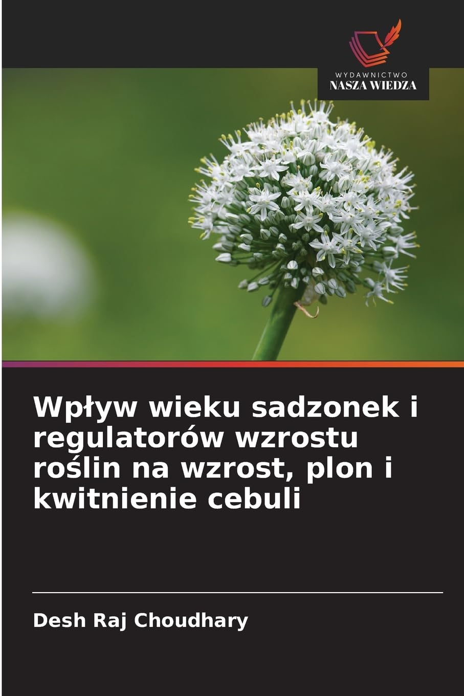 Wplyw wieku sadzonek i regulatorów wzrostu roślin na wzrost, plon i kwitnienie cebuli