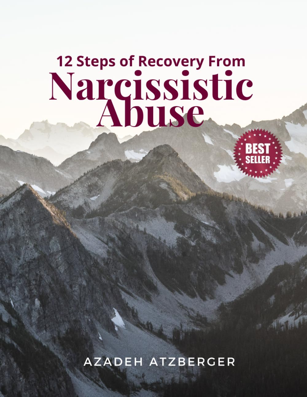 12 Steps of Recovery From Narcissistic Abuse