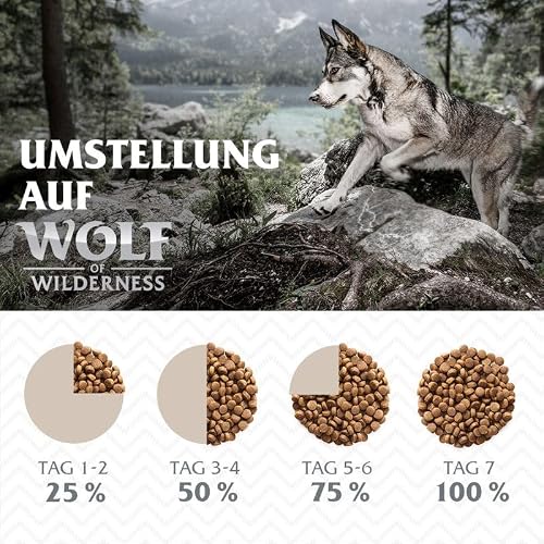 Wolf of Wilderness Hundefutter Ruby Midnight Rind und Kaninchen 12 kg